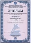 2016-2017 Остапчук Елена (РО-искусство)